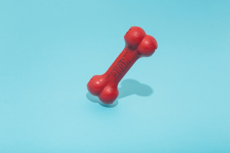 Pet Toy Assortment